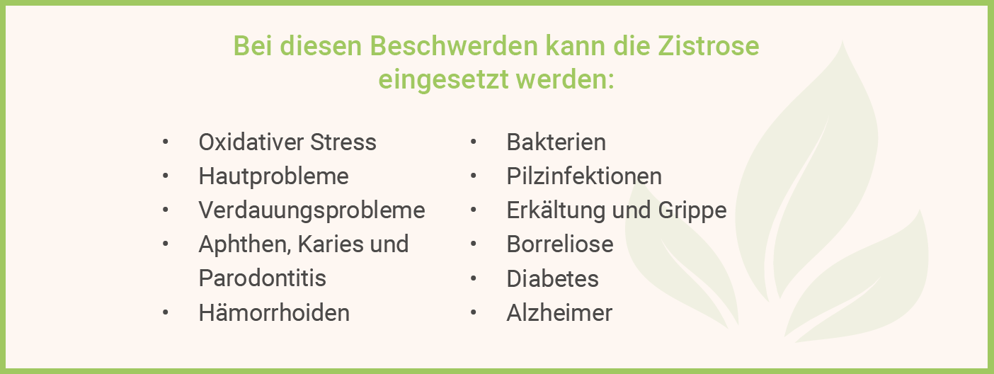 Bei diesen Beschwerden Zistrose nutzen Infografik: Bei diesen Beschwerden hilft Zistrose
